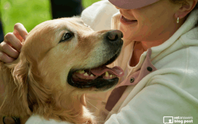 No Rest For Animal Shelters And Rescues… How You Can Help